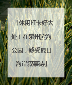 休闲打卡好去处！在泉州滨海公园，感受夏日海岸叙事诗