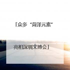 众多“菏泽元素”亮相深圳文博会