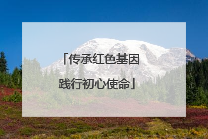 传承红色基因 践行初心使命