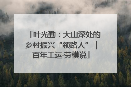 叶光勤：大山深处的乡村振兴“领路人”｜百年工运·劳模说
