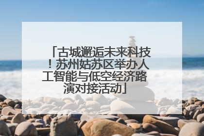 古城邂逅未来科技！苏州姑苏区举办人工智能与低空经济路演对接活动