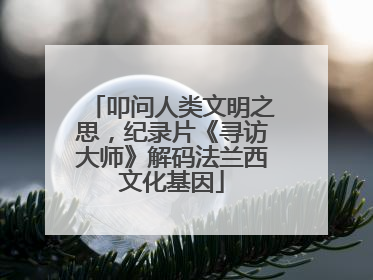叩问人类文明之思，纪录片《寻访大师》解码法兰西文化基因