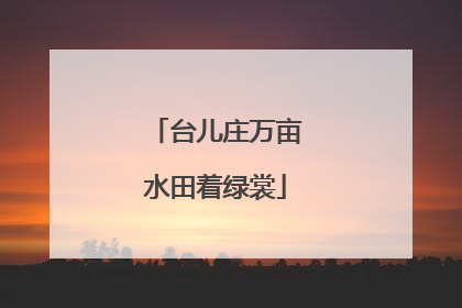 台儿庄万亩水田着绿裳