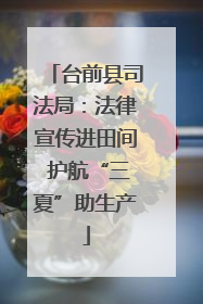 台前县司法局：法律宣传进田间 护航“三夏”助生产