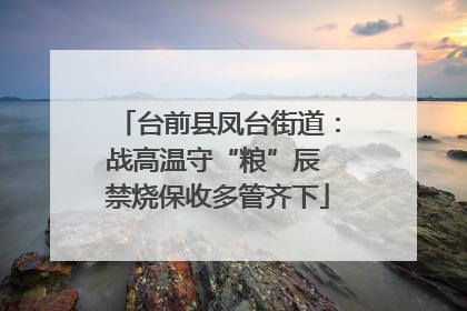 台前县凤台街道：战高温守“粮”辰 禁烧保收多管齐下