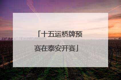十五运桥牌预赛在泰安开赛