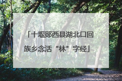 十堰郧西县湖北口回族乡念活“林”字经