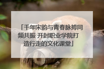 千年宋韵与青春脉搏同频共振 开封职业学院打造行走的文化课堂