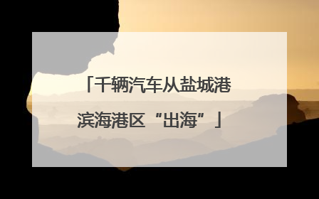 千辆汽车从盐城港滨海港区“出海”
