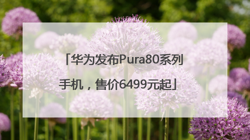 华为发布Pura80系列手机，售价6499元起