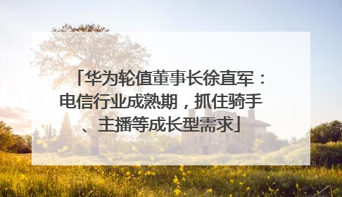 华为轮值董事长徐直军：电信行业成熟期，抓住骑手、主播等成长型需求