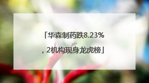 华森制药跌8.23%，2机构现身龙虎榜