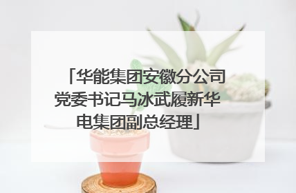 华能集团安徽分公司党委书记马冰武履新华电集团副总经理