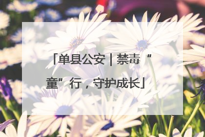 单县公安｜禁毒“童”行，守护成长