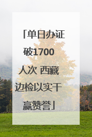 单日办证破1700人次 西藏边检以实干赢赞誉