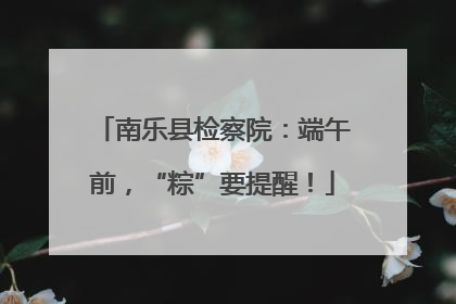 南乐县检察院：端午前，“粽”要提醒！
