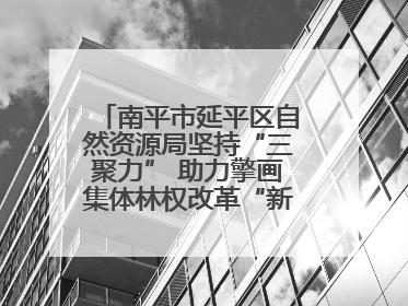 南平市延平区自然资源局坚持“三聚力” 助力擎画集体林权改革“新图景”