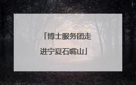 博士服务团走进宁夏石嘴山