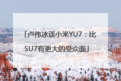 卢伟冰谈小米YU7：比SU7有更大的受众面