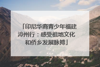 印尼华裔青少年福建漳州行：感受祖地文化和侨乡发展脉搏