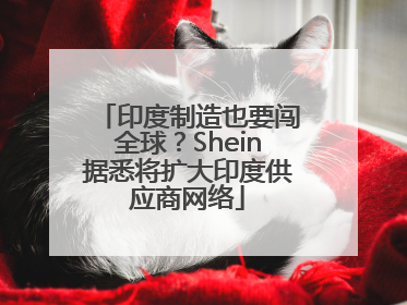 印度制造也要闯全球？Shein据悉将扩大印度供应商网络