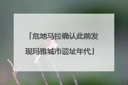 危地马拉确认此前发现玛雅城市遗址年代