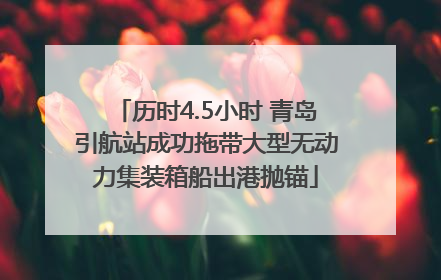 历时4.5小时 青岛引航站成功拖带大型无动力集装箱船出港抛锚