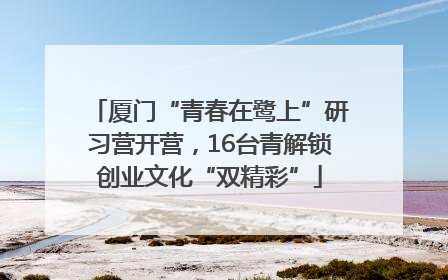 厦门“青春在鹭上”研习营开营，16台青解锁创业文化“双精彩”