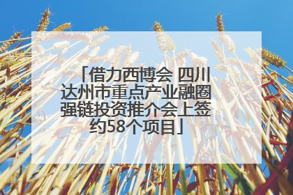 借力西博会 四川达州市重点产业融圈强链投资推介会上签约58个项目