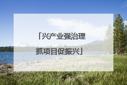 兴产业强治理 抓项目促振兴