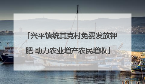 兴平镇统其克村免费发放钾肥 助力农业增产农民增收