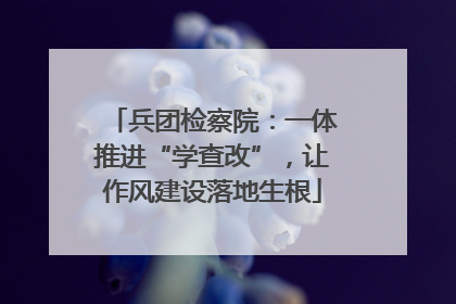 兵团检察院：一体推进“学查改”，让作风建设落地生根
