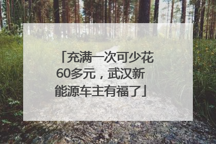 充满一次可少花60多元，武汉新能源车主有福了