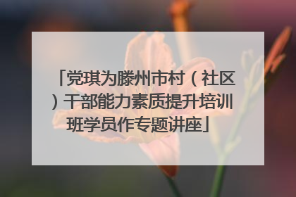 党琪为滕州市村（社区）干部能力素质提升培训班学员作专题讲座