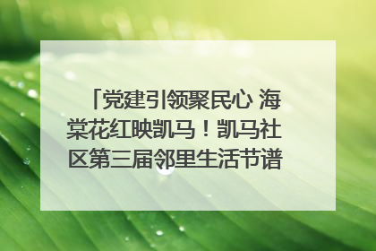 党建引领聚民心 海棠花红映凯马！凯马社区第三届邻里生活节谱写幸福新篇章
