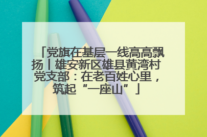 党旗在基层一线高高飘扬丨雄安新区雄县黄湾村党支部：在老百姓心里，筑起“一座山”