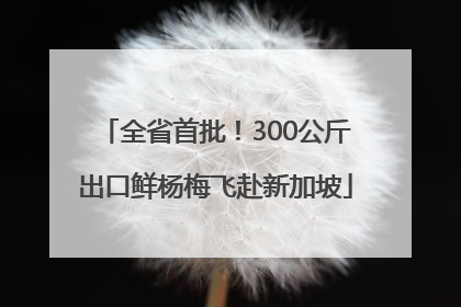 全省首批！300公斤出口鲜杨梅飞赴新加坡