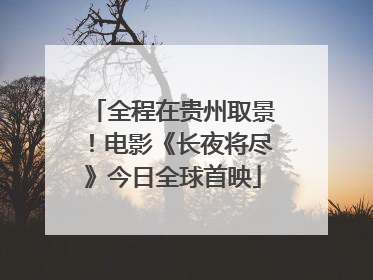 全程在贵州取景！电影《长夜将尽》今日全球首映