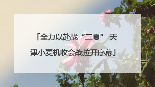 全力以赴战“三夏” 天津小麦机收会战拉开序幕