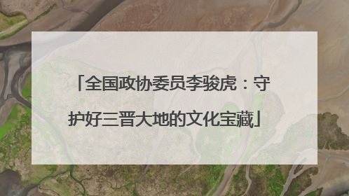 全国政协委员李骏虎：守护好三晋大地的文化宝藏
