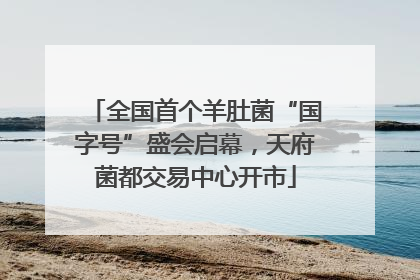 全国首个羊肚菌“国字号”盛会启幕，天府菌都交易中心开市