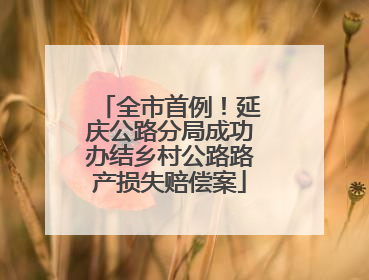 全市首例！延庆公路分局成功办结乡村公路路产损失赔偿案