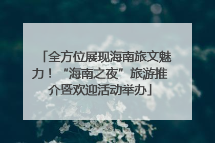 全方位展现海南旅文魅力！“海南之夜”旅游推介暨欢迎活动举办