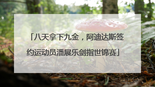 八天拿下九金，阿迪达斯签约运动员潘展乐剑指世锦赛