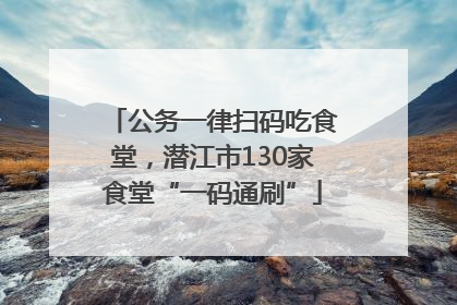 公务一律扫码吃食堂，潜江市130家食堂“一码通刷”