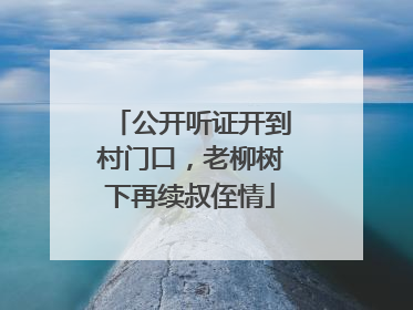 公开听证开到村门口，老柳树下再续叔侄情