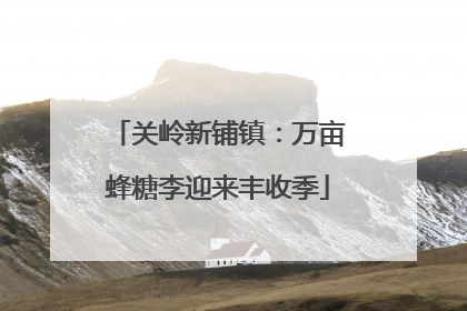 关岭新铺镇：万亩蜂糖李迎来丰收季