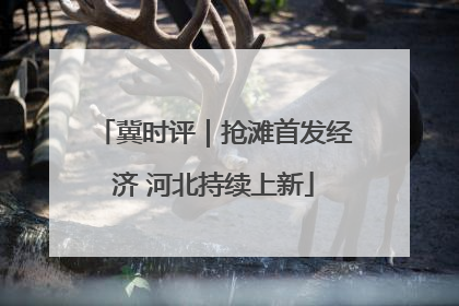 冀时评｜抢滩首发经济 河北持续上新