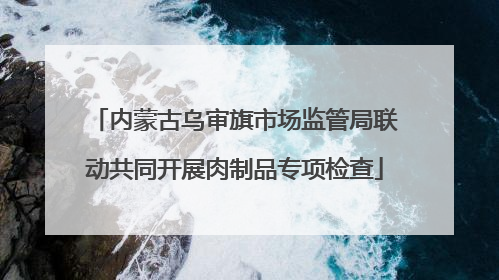 内蒙古乌审旗市场监管局联动共同开展肉制品专项检查
