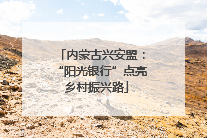 内蒙古兴安盟：“阳光银行”点亮乡村振兴路